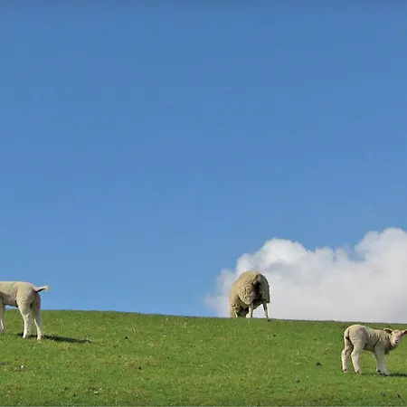 Сasa de vacaciones Stunning In With Sauna *